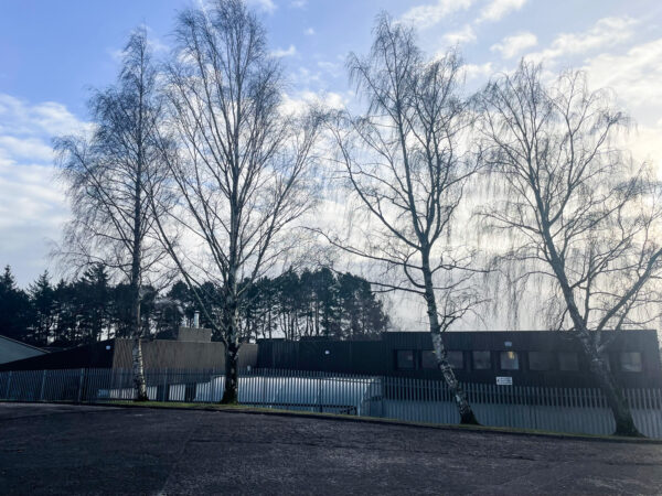 Firpark School in it's new cladding pictured through some birch trees